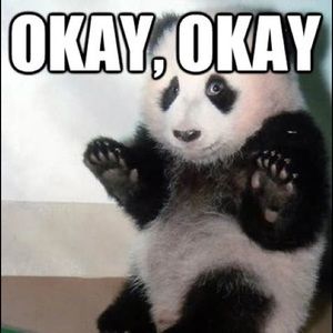 Meet your Posher, Lance